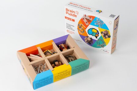 Recent Toys Brain Puzzle Set of 6 - IQ Puzzel