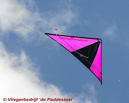 De Paddestoel Speedwing Proton - Pink