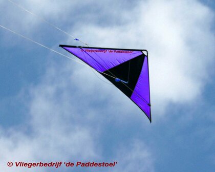 De Paddestoel Speedwing Proton - Paars