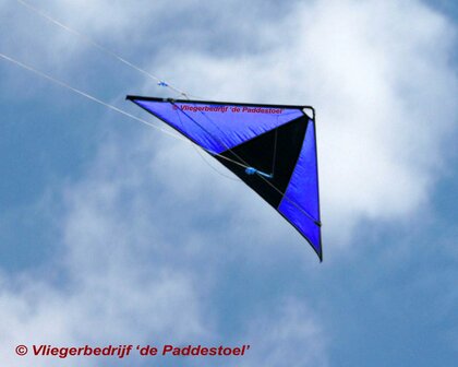 De Paddestoel Speedwing Proton - Blauw