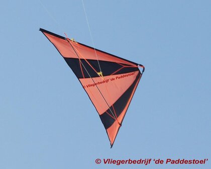 De Paddestoel Speedwing Pro - Eigen Kleur Combinatie