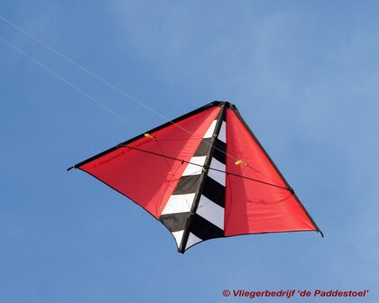 De Paddestoel Zebra Dart  rood