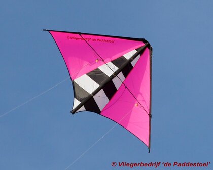 De Paddestoel Zebra Dart - Pink