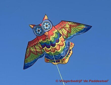 HQ Jazzy Owl Kite