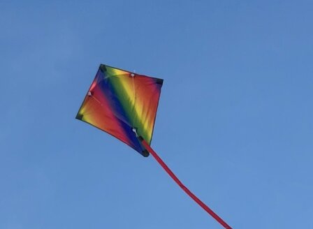 De Paddestoel Diamant Stunter Regenboog