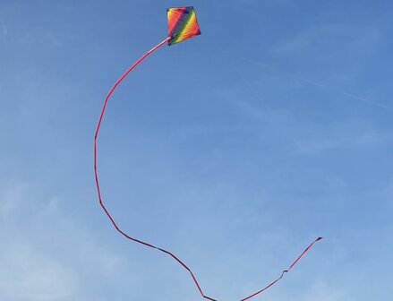 De Paddestoel Diamant Stunter Regenboog