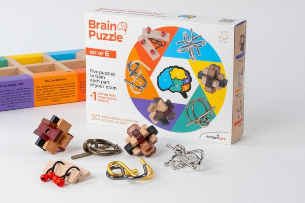 Recent Toys Brain Puzzle Set of 6 - IQ Puzzel