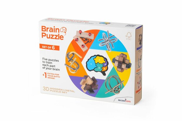 Recent Toys Brain Puzzle Set of 6 - IQ Puzzel