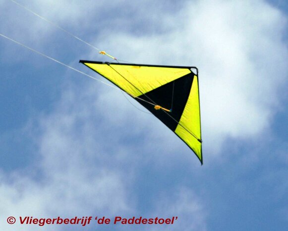 De Paddestoel Speedwing Proton - Geel