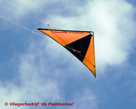 De Paddestoel Speedwing Proton