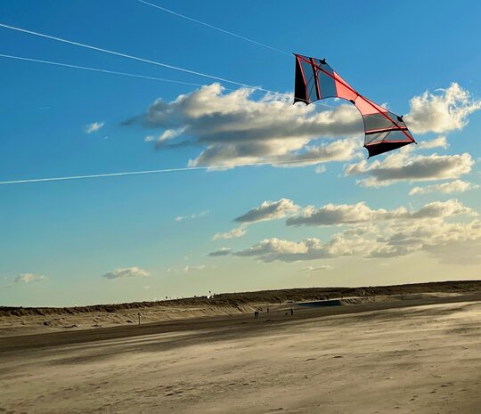 De Paddestoel Cursor Flash Air - Zwart/oranje