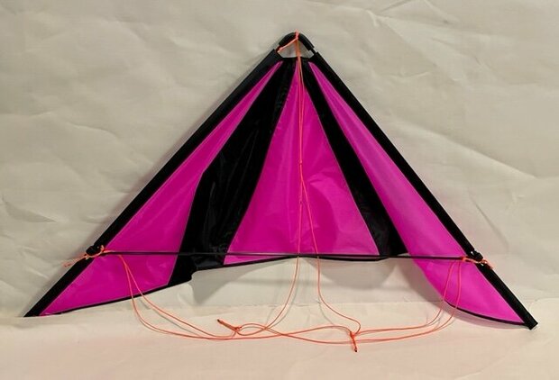 De Paddestoel Speedwing Pro - Pink