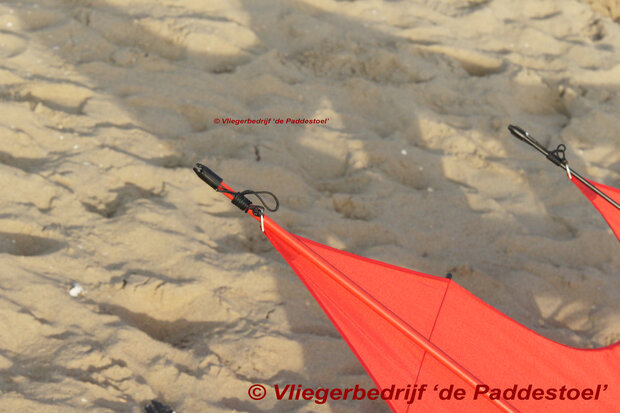 De Paddestoel Cody 30 War Kite 