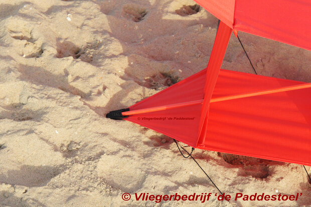 De Paddestoel Cody 30 War Kite 