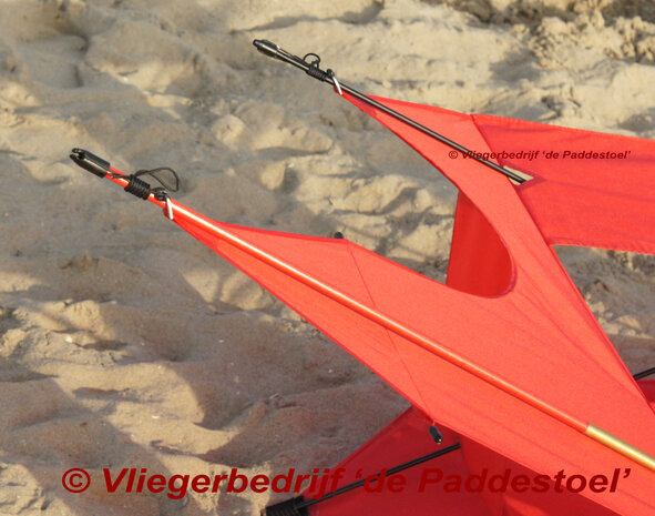 De Paddestoel Cody 30 War Kite 