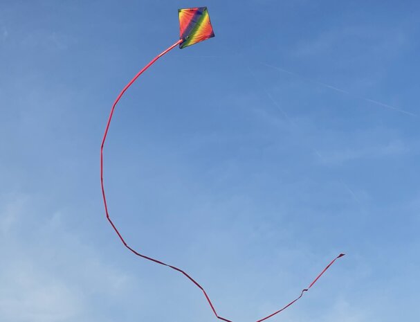 De Paddestoel Diamant Stunter Regenboog